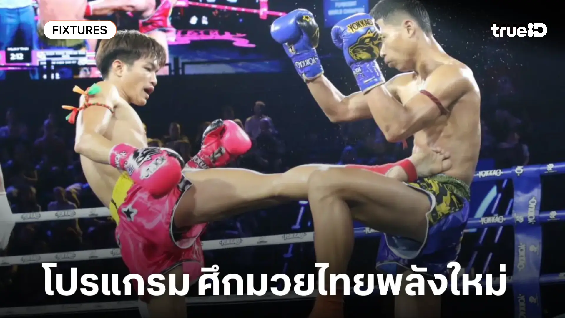 โปรแกรมมวยไทย ศึกมวยไทยพลังใหม่ ลิ้งก์ดูมวยสด วันพุธที่ 29 ตุลาคม 68 โปรแกรมมวยไทย ศึกมวยไทยพลังใหม่ ลิ้งก์ดูมวยสด วันพุธที่ 29 ตุลาคม 68
