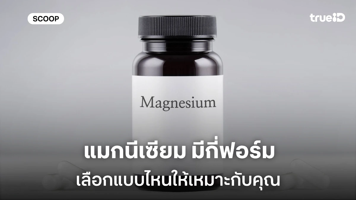 แมกนีเซียม มีกี่ฟอร์ม เลือกแบบไหนให้เหมาะกับคุณ แมกนีเซียม มีกี่ฟอร์ม เลือกแบบไหนให้เหมาะกับคุณ