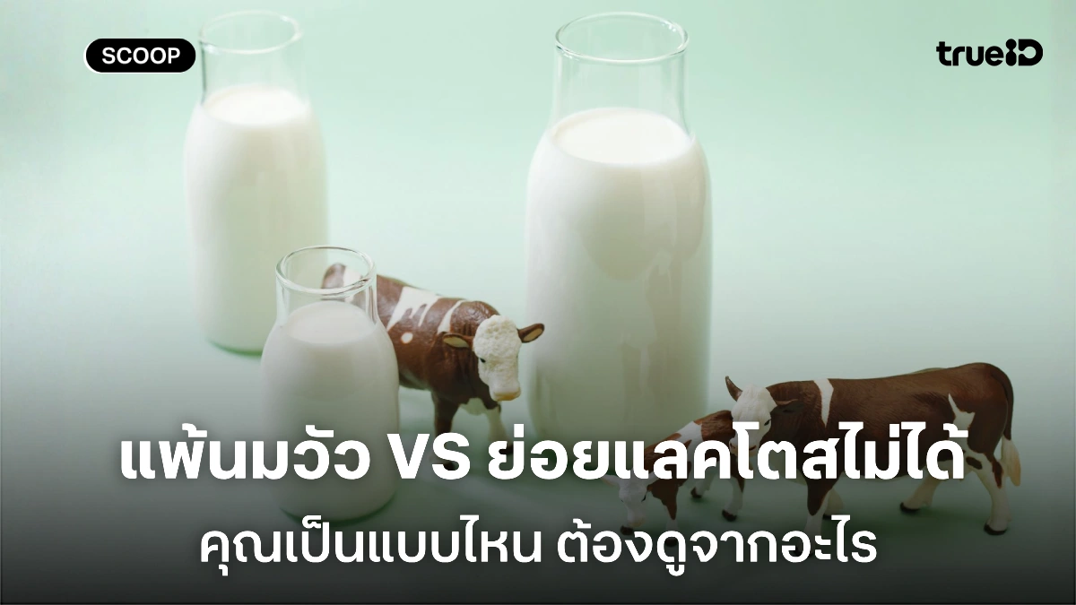 กินนมไม่ได้ เพราะ แพ้นม หรือย่อยแลคโตสไม่ได้ คุณเป็นแบบไหน ดูจากอะไรบ้าง