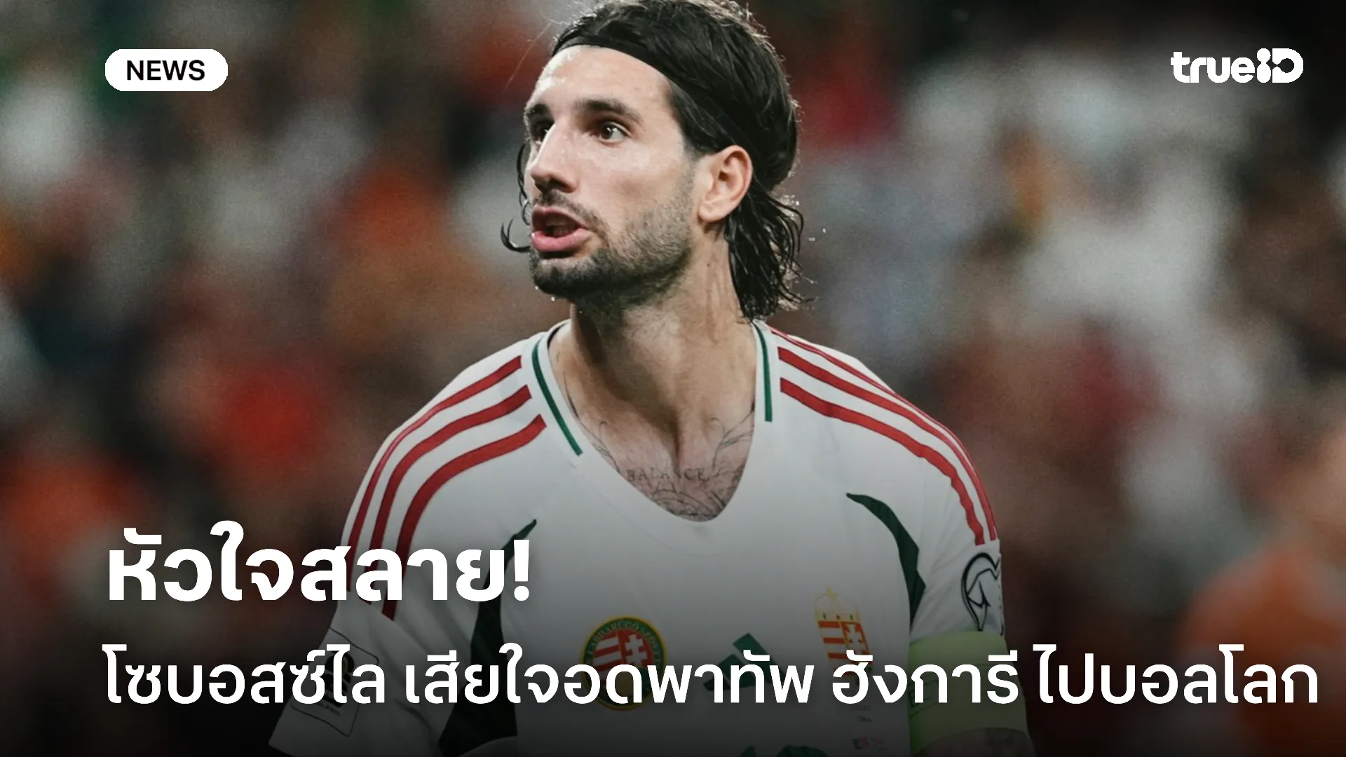 เสียใจมาก.! โซบอสซ์ไล ขอโทษแฟน ฮังการี หลังอดไปบอลโลก เสียใจมาก.! โซบอสซ์ไล ขอโทษแฟน ฮังการี หลังอดไปบอลโลก