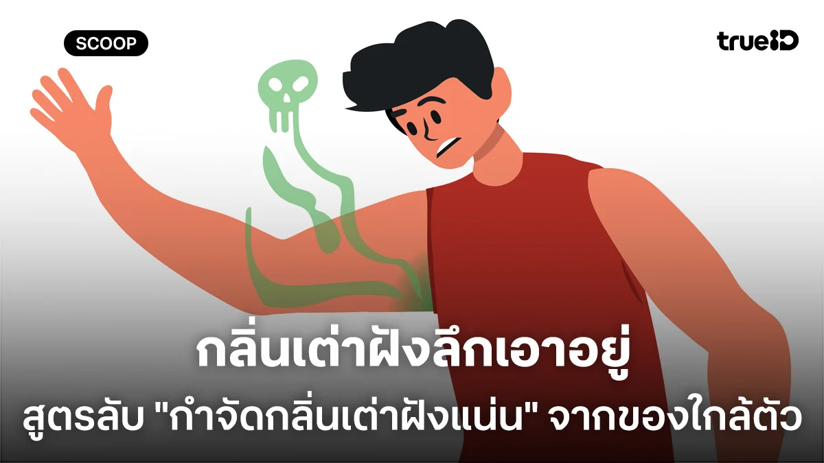 กลิ่นเต่าฝังลึกเอาอยู่ สูตรลับ "กำจัดกลิ่นเต่าฝังแน่น" หยุดเหม็นด้วยของใกล้ตัว