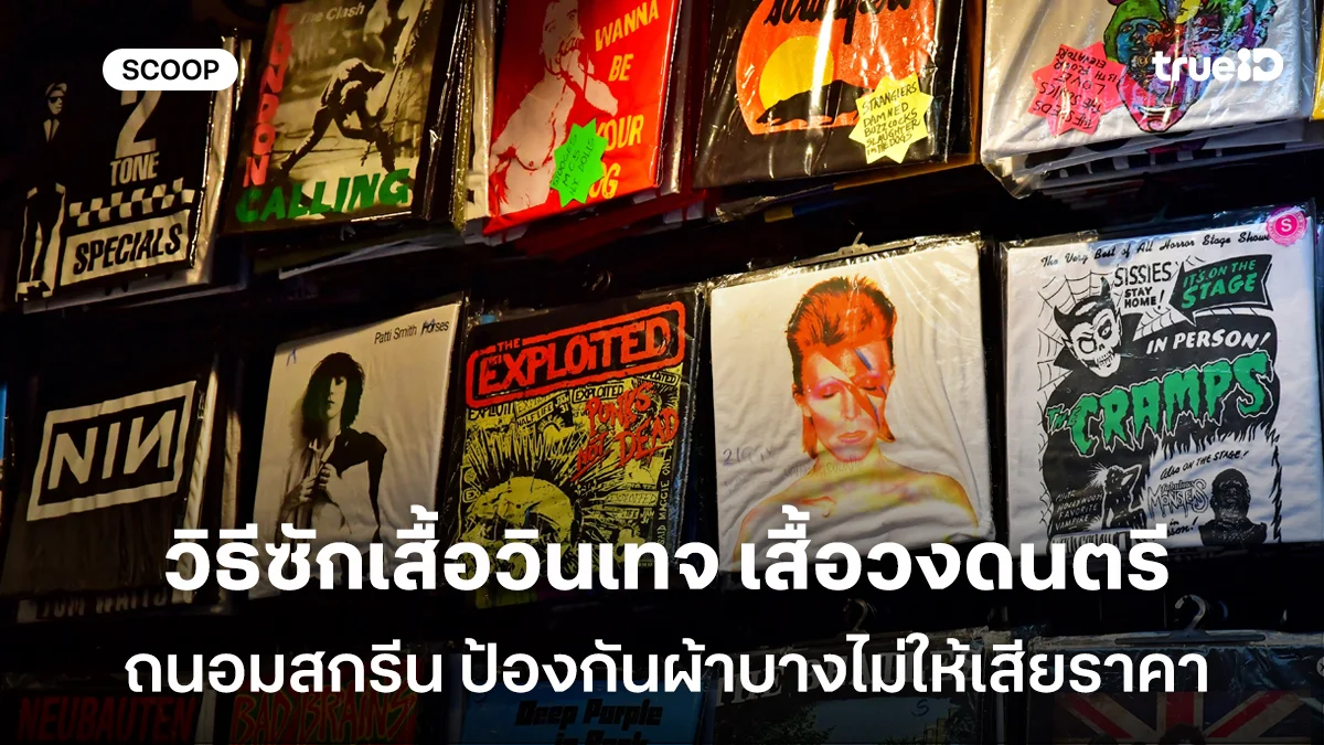 วิธีซักเสื้อวินเทจ เสื้อวงดนตรี เสื้อสะสม ถนอมสกรีน ป้องกันผ้าบางไม่ให้เสียราคา วิธีซักเสื้อวินเทจ เสื้อวงดนตรี เสื้อสะสม ถนอมสกรีน ป้องกันผ้าบางไม่ให้เสียราคา