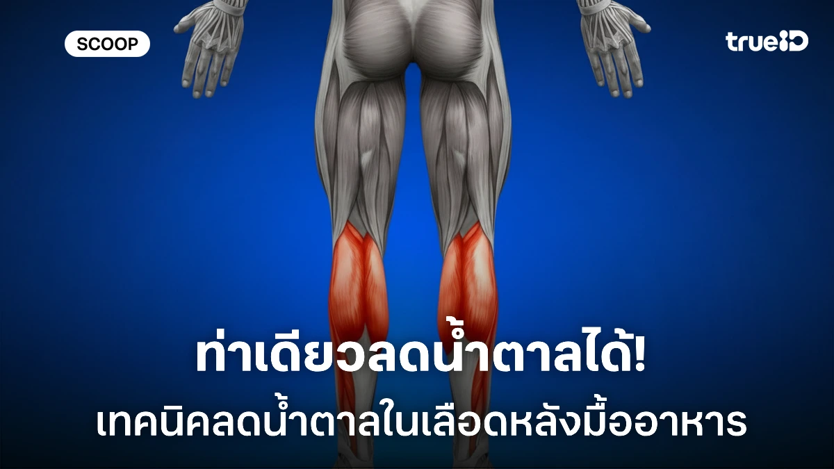 ท่าเดียวลดน้ำตาลได้! เทคนิคลดน้ำตาลในเลือดหลังมื้ออาหาร สำหรับผู้ชายเป็นเบาหวาน