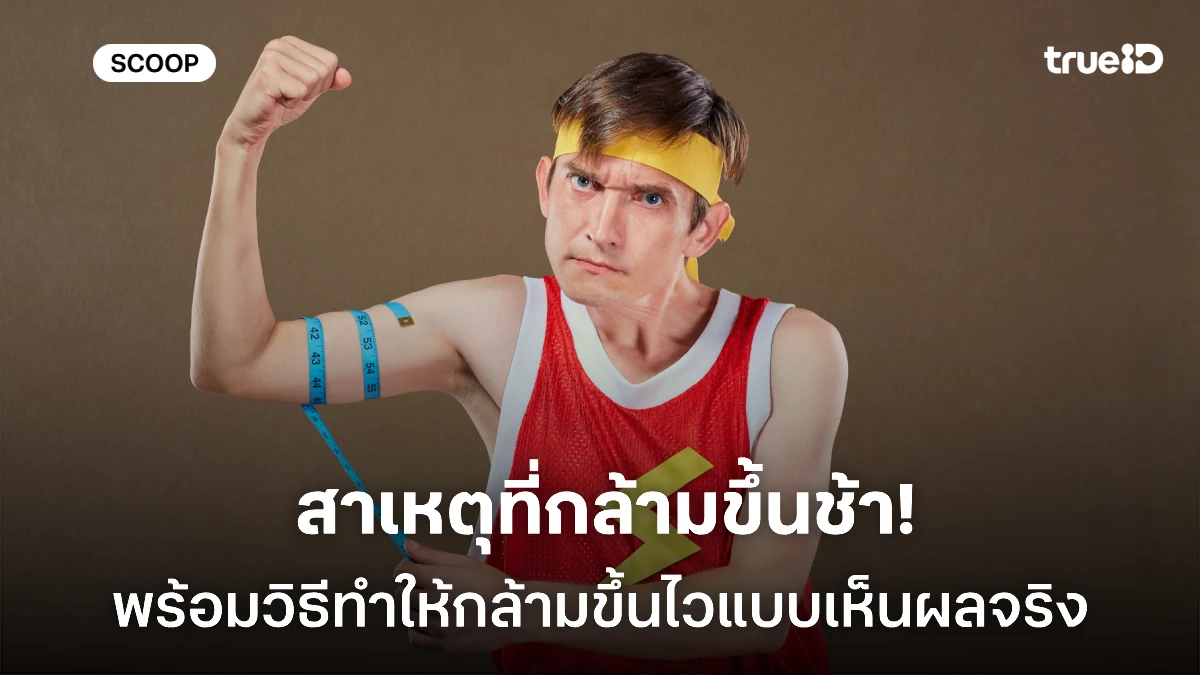 สาเหตุที่กล้ามขึ้นช้า! ไขทุกปัญหา เล่นเวท กล้ามไม่ขึ้น พร้อมวิธีทำให้กล้ามขึ้นไวแบบเห็นผลจริง