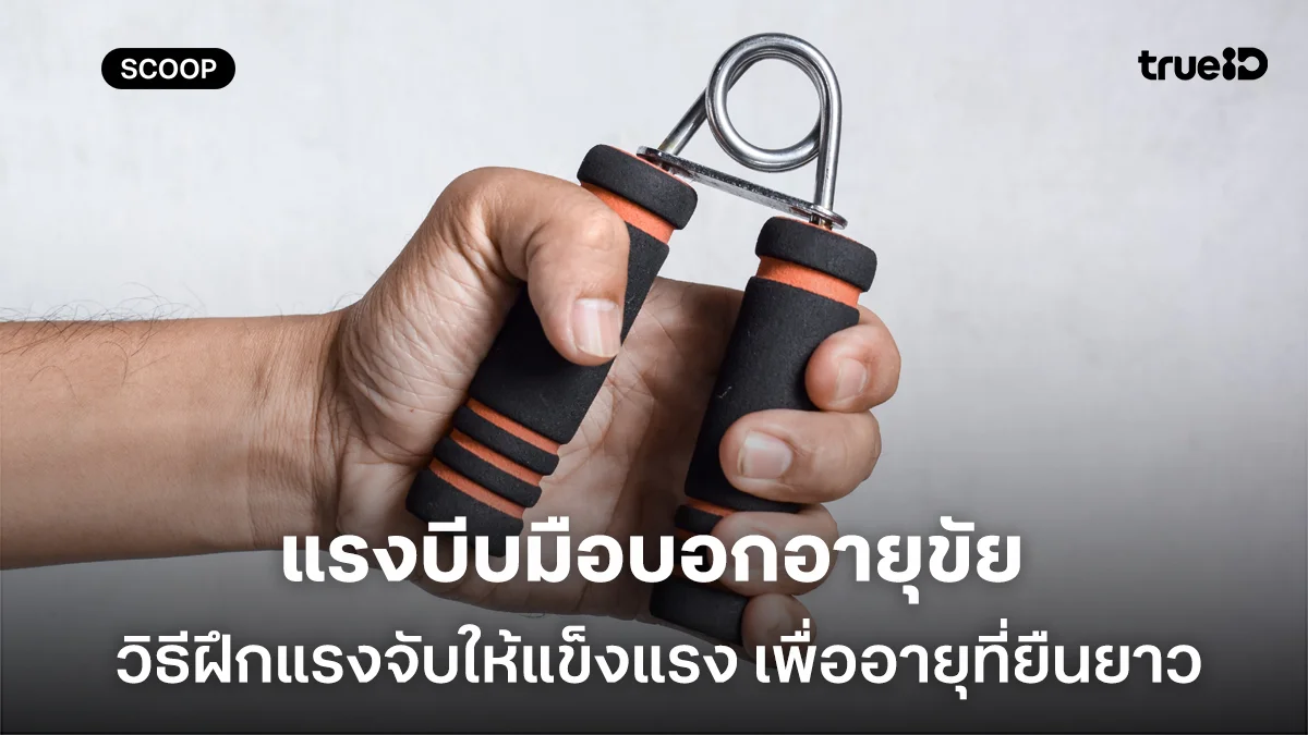 แรงบีบมือบอกอายุขัย วิธีฝึกแรงจับให้แข็งแรง เพื่อร่างกายที่ฟิตและอายุที่ยืนยาว แรงบีบมือบอกอายุขัย วิธีฝึกแรงจับให้แข็งแรง เพื่อร่างกายที่ฟิตและอายุที่ยืนยาว