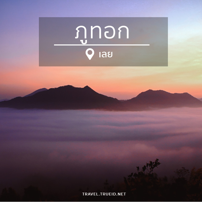24 Phu Tok