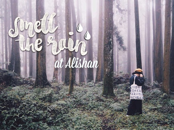 ครั้งหนึ่งเคยมาดมกลิ่นฝน Alishan ไต้หวัน Once Upon a Trip