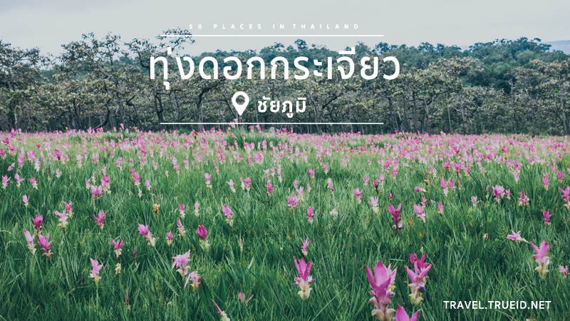 Sai Thong National Park