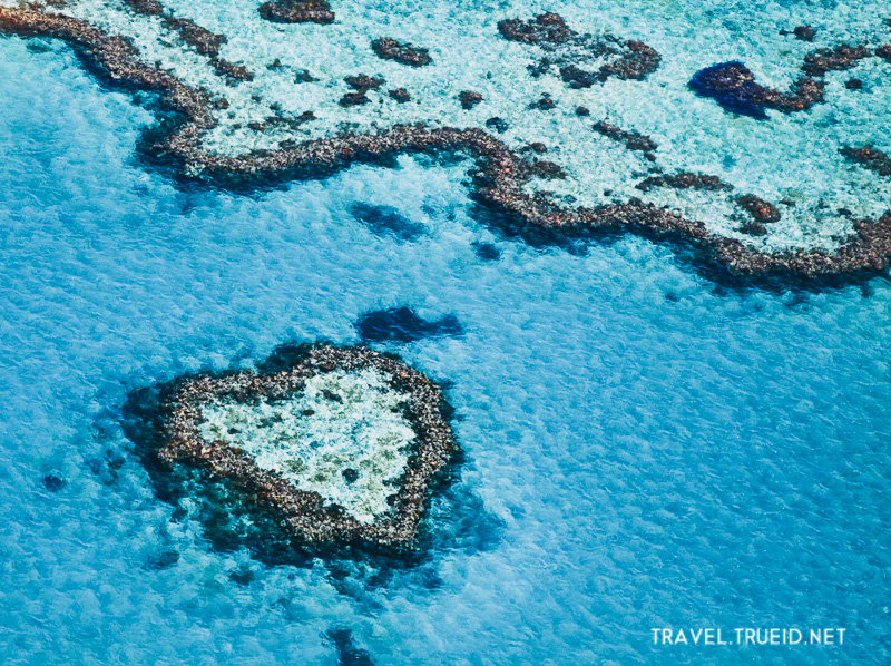 41 Great Barrier Reef