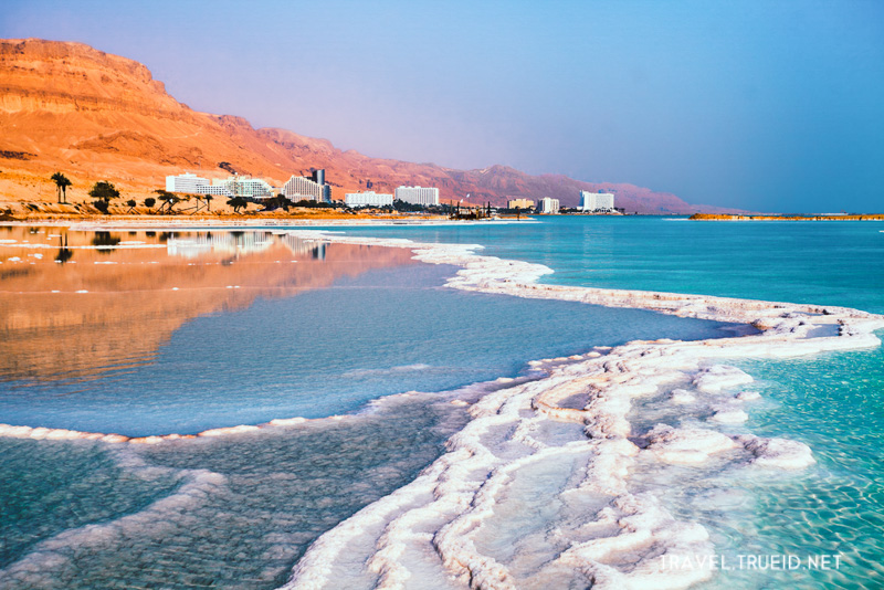 44 Dead Sea