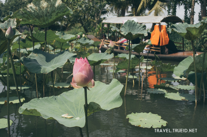 Khlong Lat Mayom Floating Market