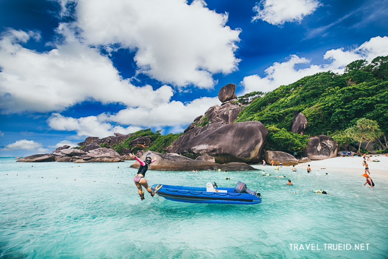 à¸œà¸¥à¸à¸²à¸£à¸„à¹‰à¸™à¸«à¸²à¸£à¸¹à¸›à¸ à¸²à¸žà¸ªà¸³à¸«à¸£à¸±à¸š à¸«à¸¡à¸¹à¹ˆà¹€à¸à¸²à¸°à¸ªà¸´à¸¡à¸´à¸¥à¸±à¸™