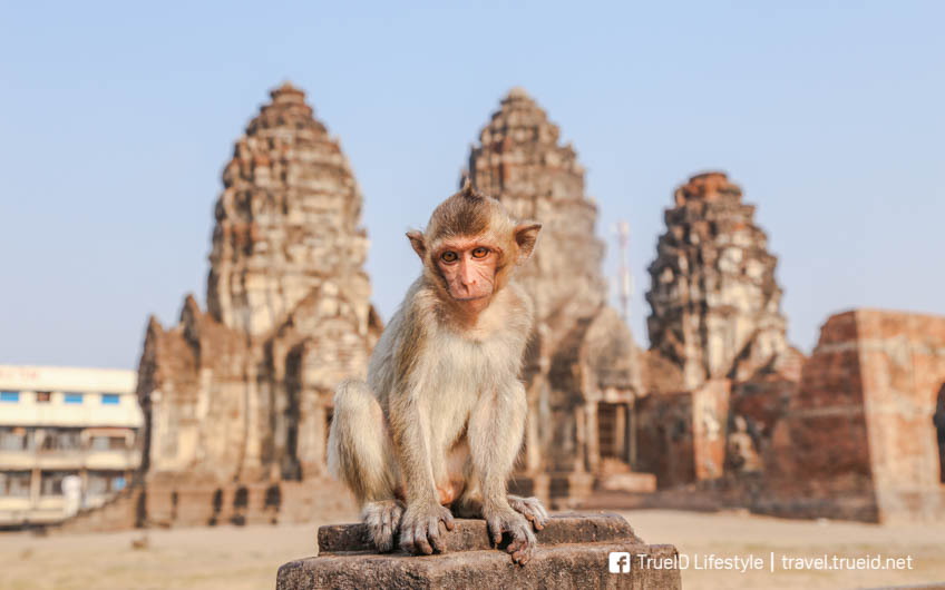 เที่ยวเมืองรอง ที่เที่ยวถ่ายรูป ไทย