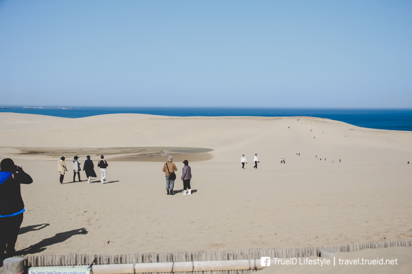 sand dunes Tottori แบกเป้ เที่ยวญีปุ่น ทะเลทราย ทตโตะริ 