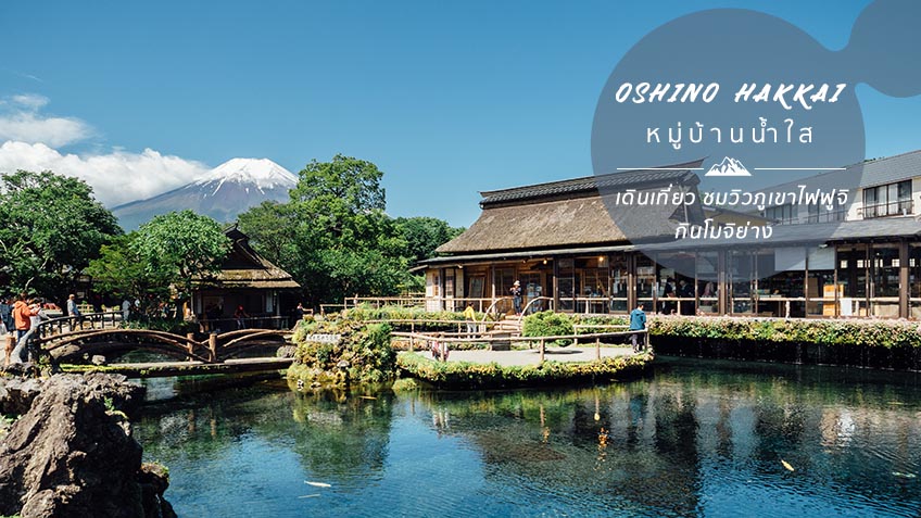 เที่ยวญี่ปุ่น หมู่บ้านน้ำใส Oshino Hakkai ที่เที่ยวใกล้ภูเขาไฟฟูจิ ชิมโมจิย่างสุดอร่อย