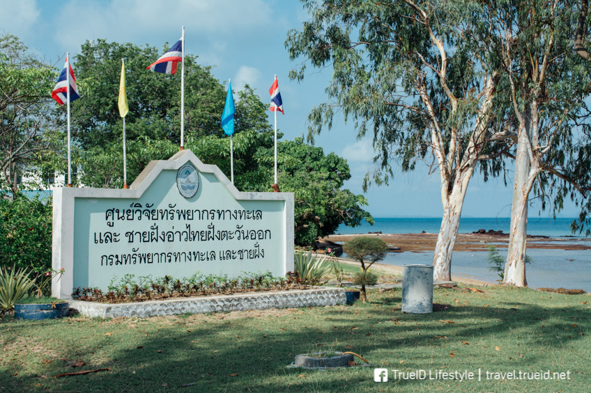 เกาะมันใน ประแสร์ ระยอง