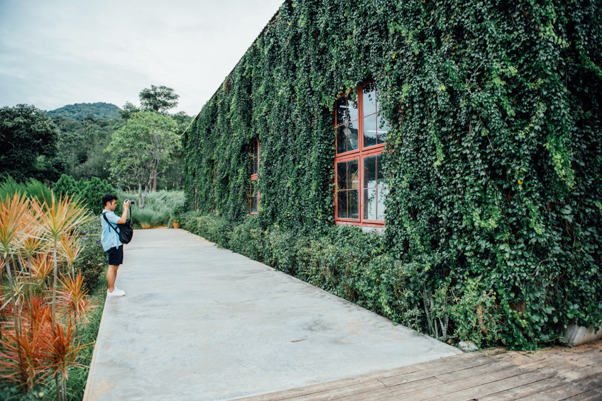 ที่เที่ยวเขาใหญ่ จุดถ่ายรูปเขาใหญ่ The Birder’s Lodge