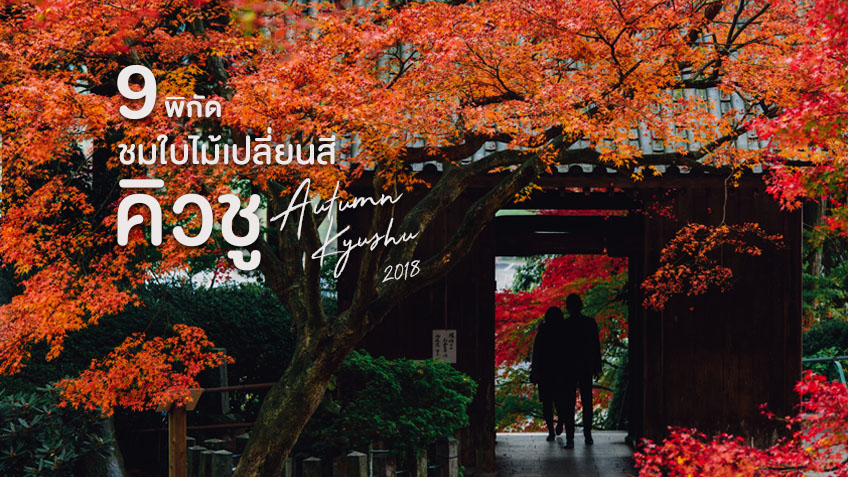 9 พิกัด ชมใบไม้เปลี่ยนสี คิวชู ญี่ปุ่น เดินชิล ถ่ายรูปสวย ห้ามพลาด (อัพเดต  2018)