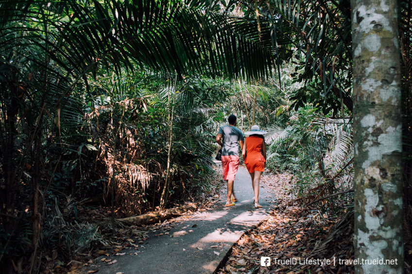 ทางเดินศึกษาธรรมชาติกองแก้ว เขาใหญ่
