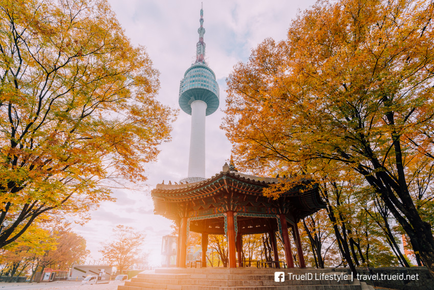 N Seoul Tower เที่ยวเกาหลี