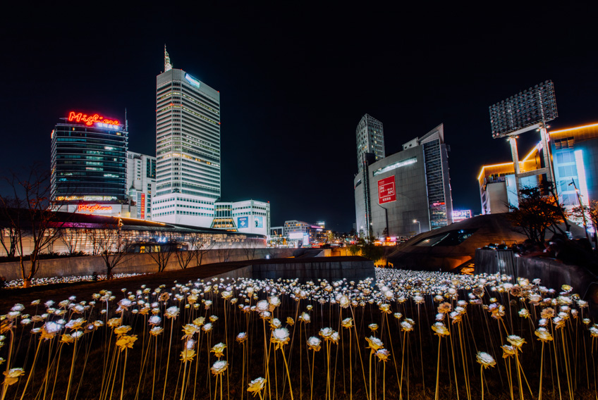 เที่ยวเกาหลี DDP LED Rose Garden 