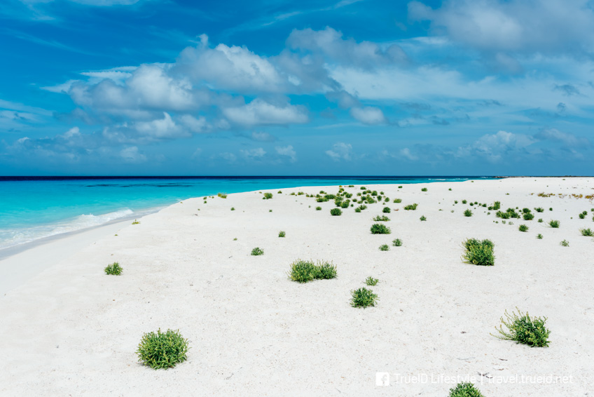 Cayo de Agua ชายหาดที่สวยที่สุดในโลก