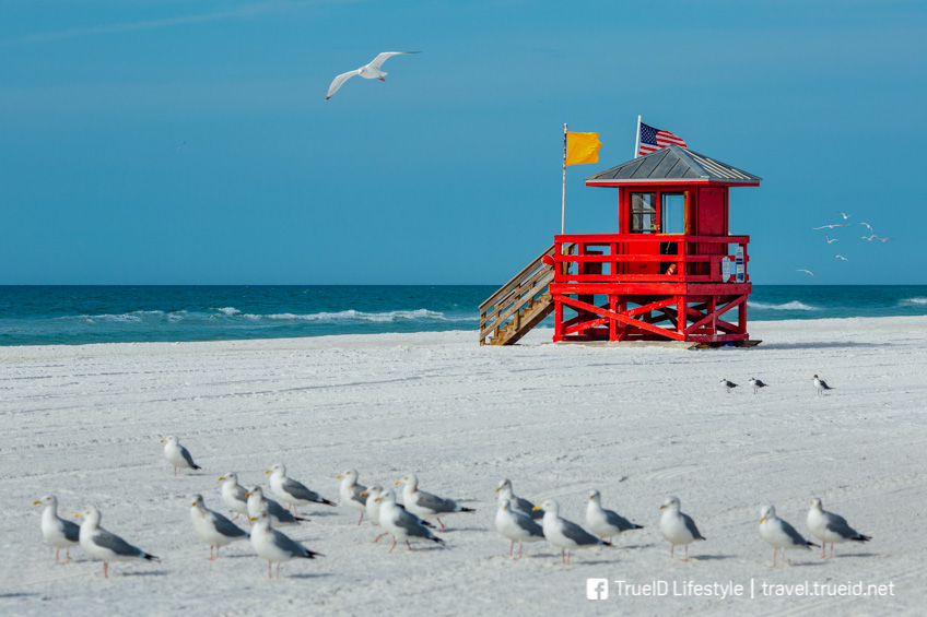 Siesta Beach ฟลอริด้า ชายหาดที่สวยที่สุดในโลก