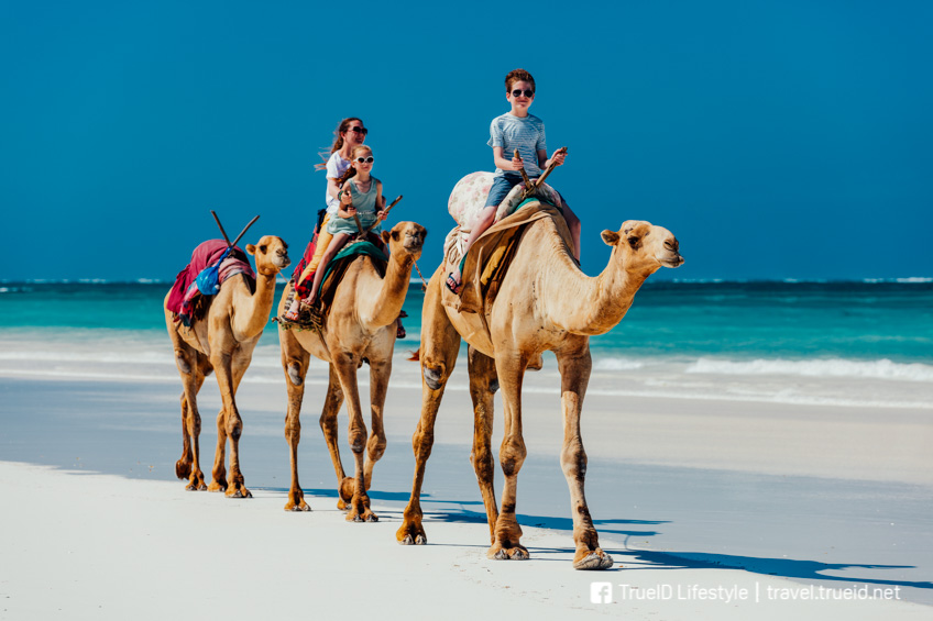 Diani Beach เคนย่า แอฟริกา