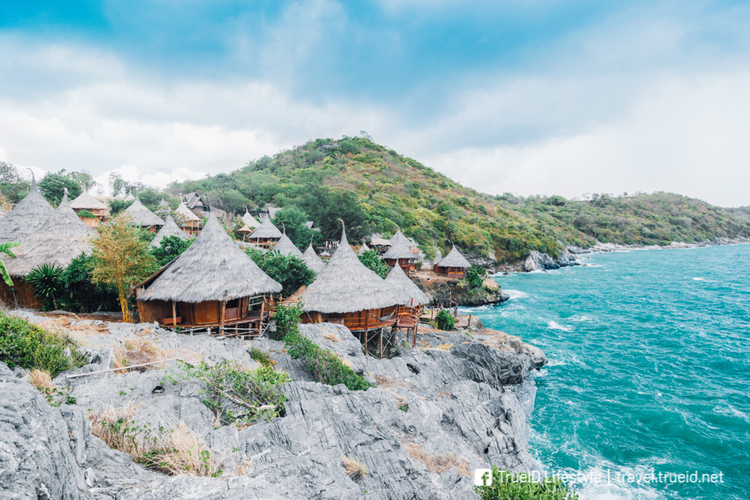 เกาะสีชัง ที่พักหมาแมวพักได้