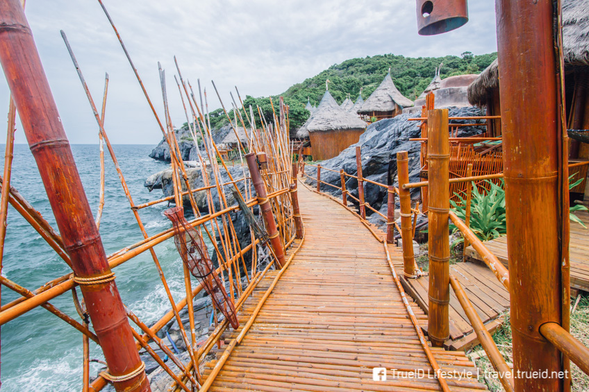 เกาะสีชัง ที่พักหมาแมวพักได้