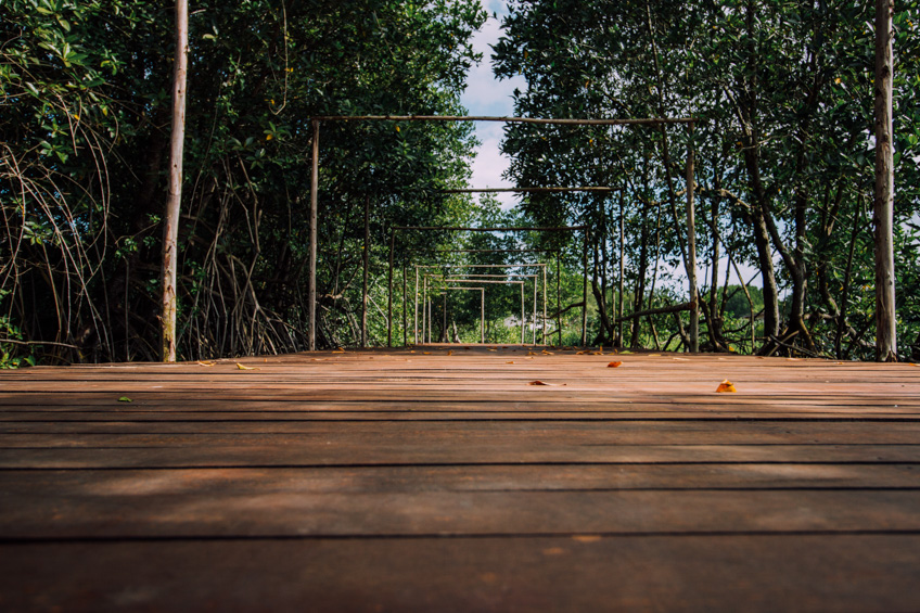 สะพานรักษ์แสม ที่เทียวระยอง