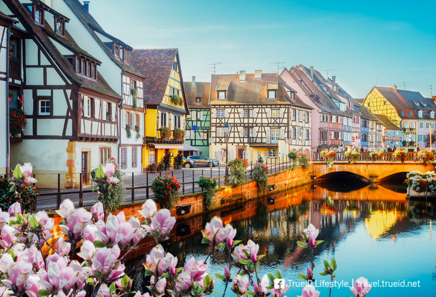 Colmar ฝรั่งเศส เมืองในเทพนิยาย ยุโรปในฝัน