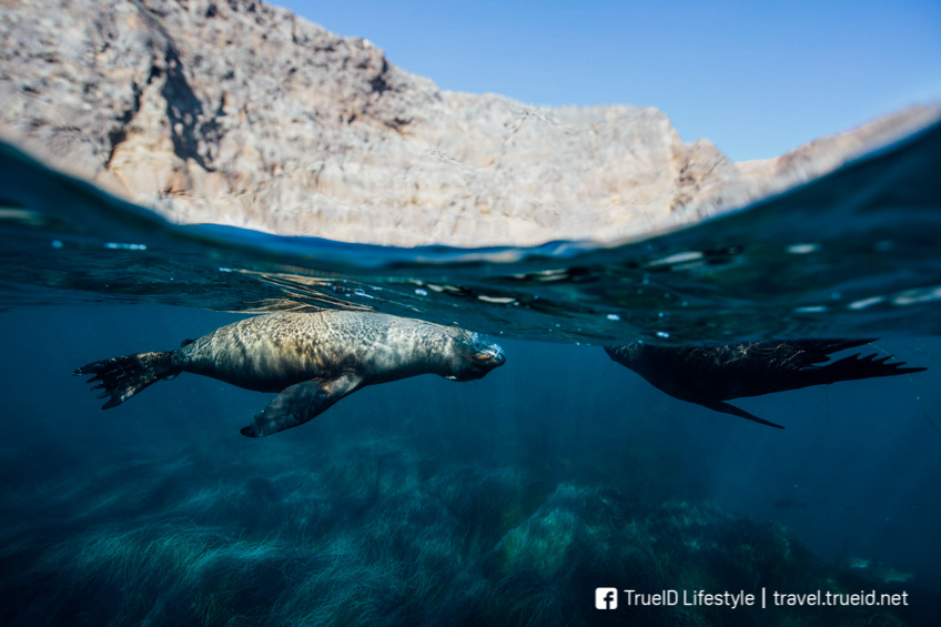Channel Islands เกาะสวยที่สุดในโลก