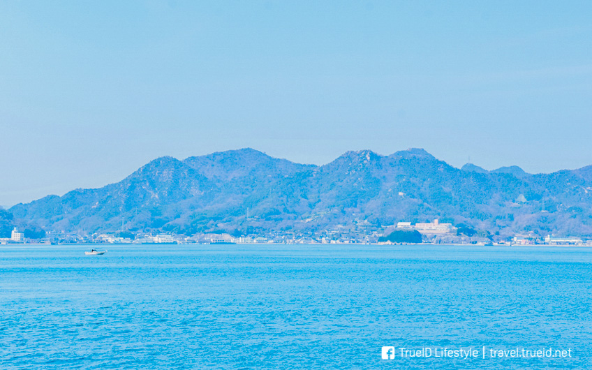 เกาะกระต่าย Okunoshima ญี่ปุ่น