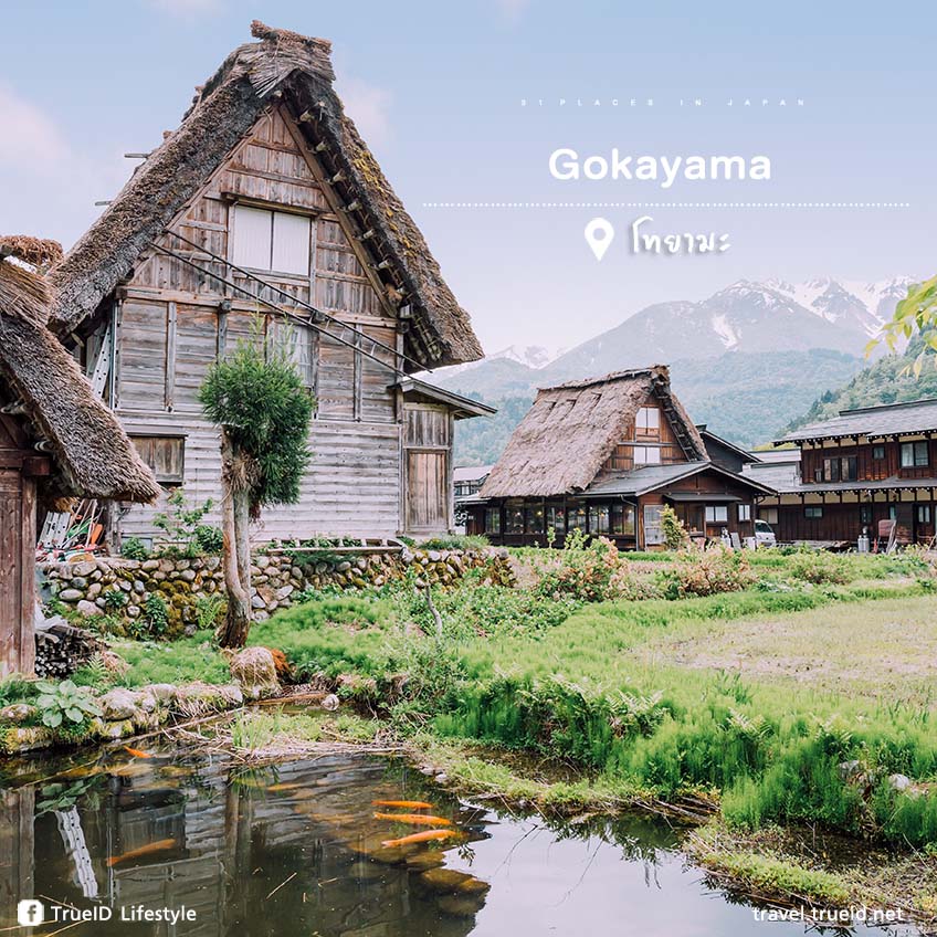 ที่เที่ยวญี่ปุ่น Gokayama