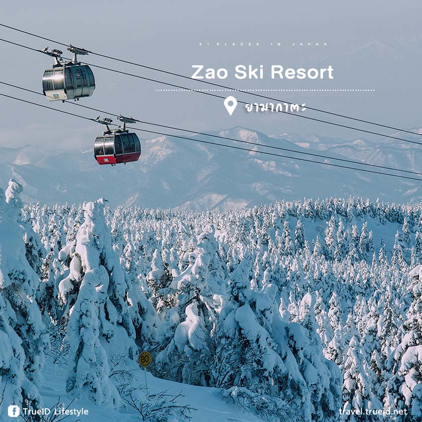 ที่เที่ยวญี่ปุ่น Zao Ski Resort