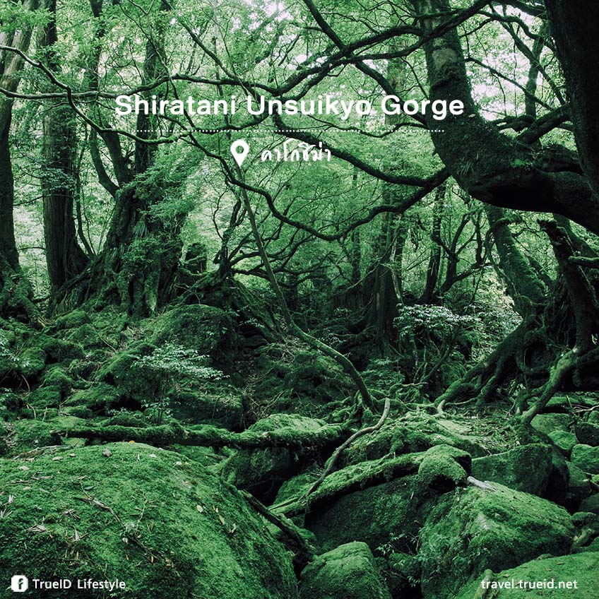 เที่ยวญี่ปุ่น Shiratani Unsuikyo Gorge