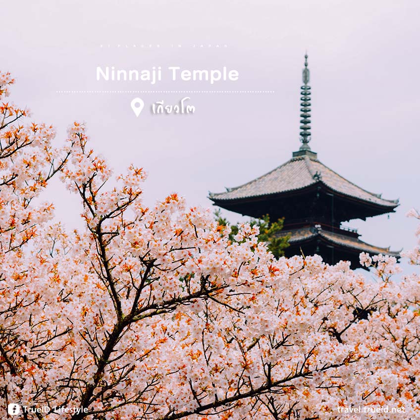 ที่เที่ยวญี่ปุ่น Ninnaji Temple