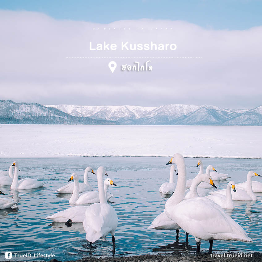 ที่เที่ยวญี่ปุ่น Lake Kussharo