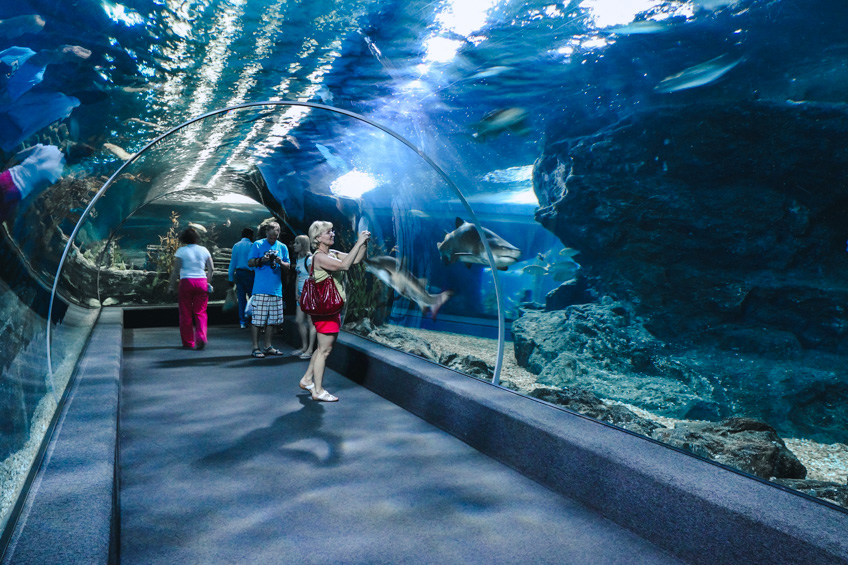 ที่เที่ยวพัทยา Underwater World Pattaya 
