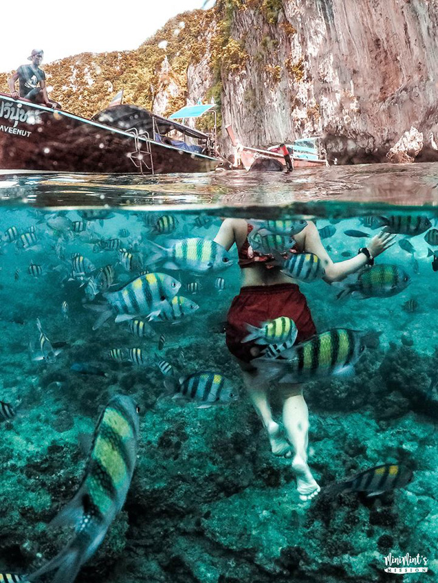 หมู่เกาะพีพี กระบี่