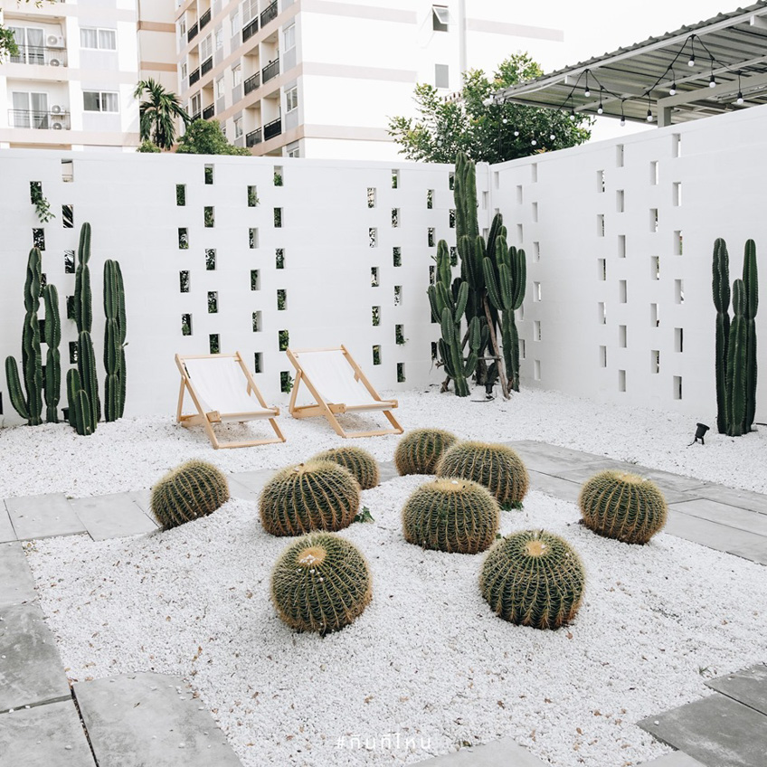 คาเฟ่พัทยา มินิมอล Breeze Box Cafe x Cactus 🌵 คาเฟ่สีขาว  ถ่ายรูปสวยกับกระบองเพชร