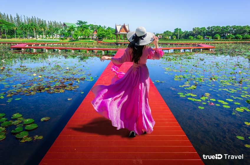 ที่เที่ยวสกลนคร อุทยานบัวเฉลิมพระเกียรติ