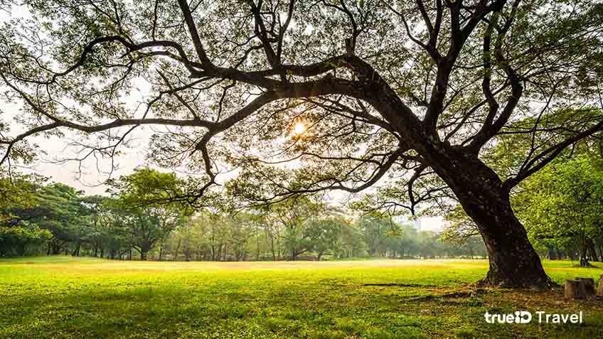 ที่เที่ยวกรุงเทพ สวนรถไฟ