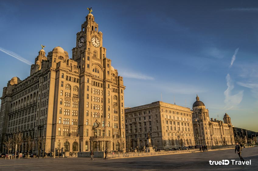 ที่เที่ยวลิเวอร์พูล อังกฤษ Royal Liver Building