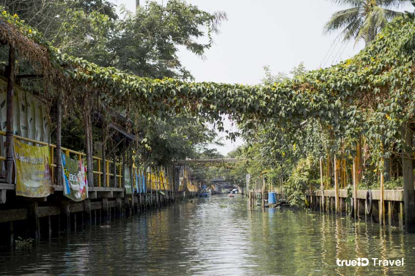 ที่เที่ยวกรุงเทพ ล่องเรือมาด ตลาดน้ำคลองลัดมะยม 