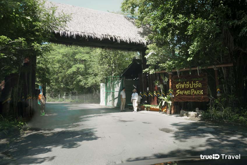 สวนสัตว์เปิด Safari World ที่เที่ยวกรุงเทพ