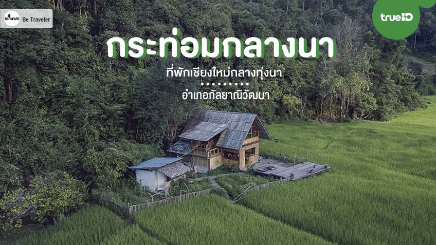 กระท อมกลางนา ท พ กเช ยงใหม กลางท งนา อำเภอก ลยาณ ว ฒนา ท เท ยวล บ ไปฟ นก บธรรมชาต ส เข ยว