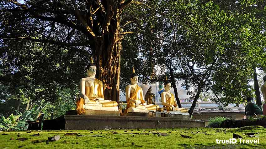 วัดสวย ที่เที่ยวไหว้พระ วัดศรีกะอาง