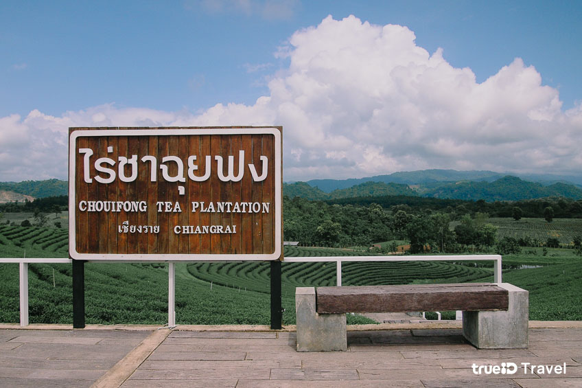 TOP 25 Best Places To Visit In Thailand 2024 (+GoogleMaps) - BingbongAI ...